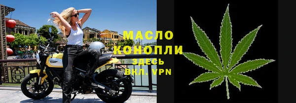 гашик Тихвин