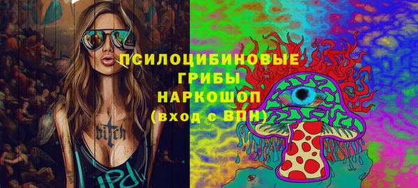 Альфа ПВП Елабуга