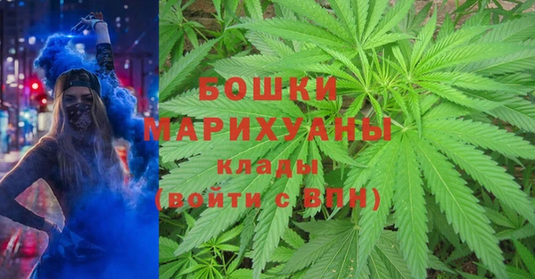 ГАЛЛЮЦИНОГЕННЫЕ ГРИБЫ Тобольск
