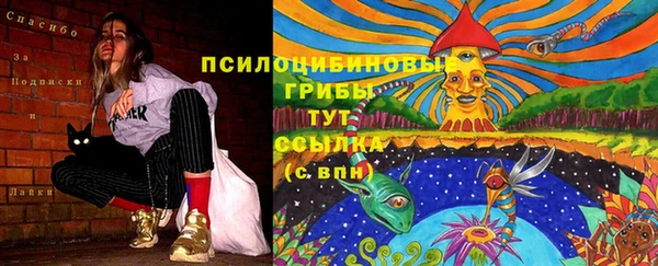 ГАЛЛЮЦИНОГЕННЫЕ ГРИБЫ Тобольск