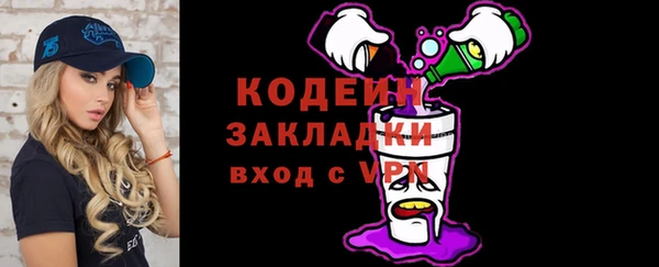 гашик Тихвин