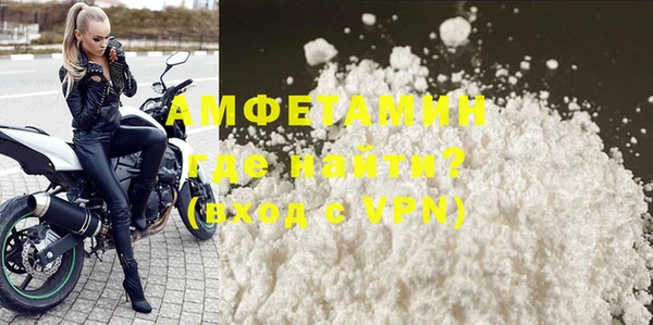 ГАЛЛЮЦИНОГЕННЫЕ ГРИБЫ Ельня
