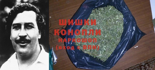 гашик Тихвин