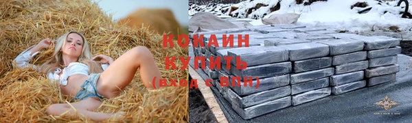 ГАЛЛЮЦИНОГЕННЫЕ ГРИБЫ Ельня