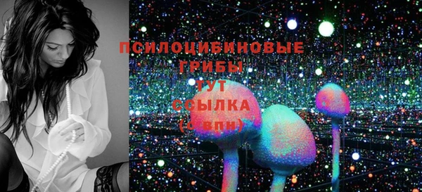 гашик Тихвин