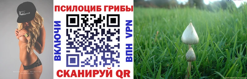 Галлюциногенные грибы GOLDEN TEACHER  Кукмор 